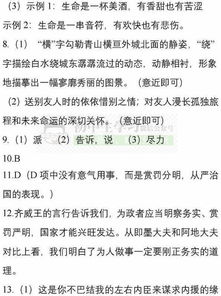 2019年初中语文七年级 八年级下册期末名校试卷Ⅱ