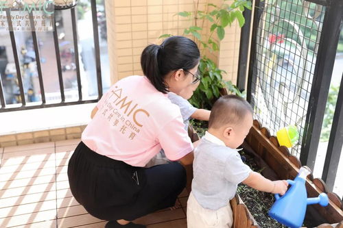 为八个月早产的双胞胎儿子,我建了一所0 3岁的家庭托育园