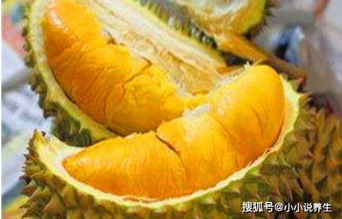 澳门玩家的天堂：626969澳门资料老玩家的秘密世界