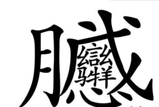 z这几个字是什么意思