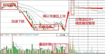 该股但短期处于震荡整理怎理解?