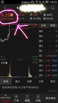 股票上可买100的数量是只能买100个？