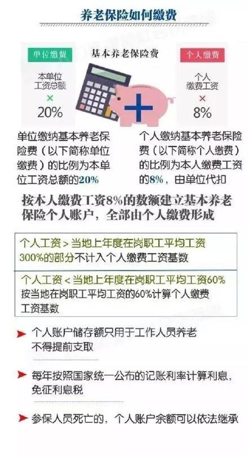 将养老保险单位缴费比例从20%降至多少(养老保险费收缴率)