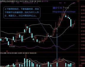 阳线,阴线,十字线和上下影线具体的意思