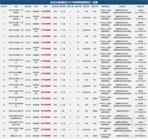 要求英语丨武汉东湖招聘27名中小学英语教师