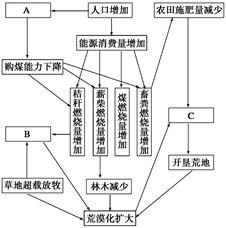 为消费的可持续发展提出合理化建议(为消费做贡献)