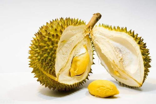马来西亚国宝级的水果,价格为何如此昂贵,是割韭菜交智商税吗