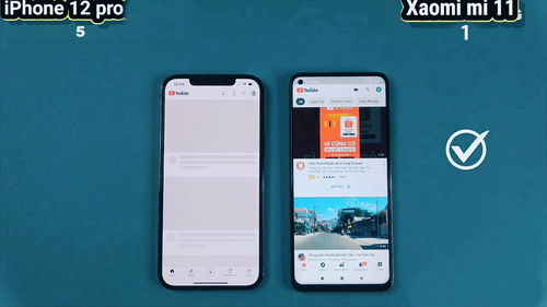 小米11与iPhone12Pro性能比拼 运行速度相差多少