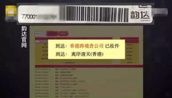 免税正品烟代购网船长-免税正品烟代购网 - 2 - 680860香烟网