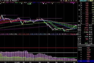 600355走势如何?