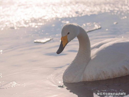 人生建议 千万别和处女座,硬碰硬