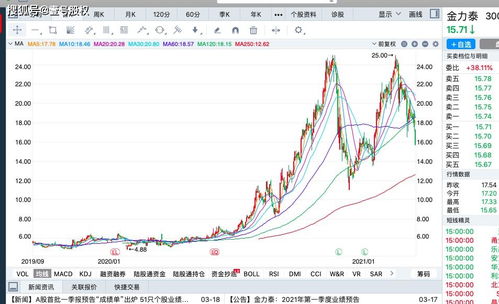 单支股票单日最大跌幅是多少