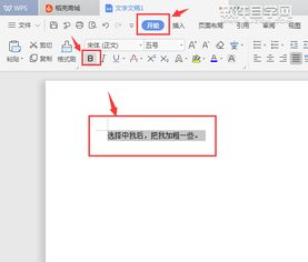 wps office文字怎么加粗 wps中字体怎么加粗