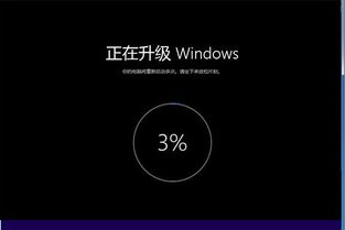 win10网络安装向导