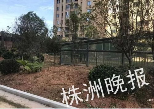 说好的人车分流 水系景观去哪了 株洲这家小区业主很闹心