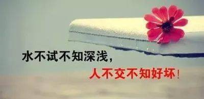 宝贝,祝你开心