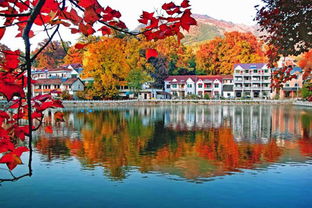 神龙川风景旅游度假区(神龙川风景区在哪里)