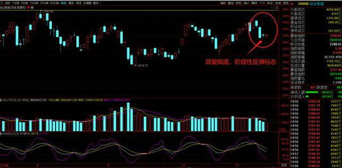 双星探底底部双十字星图片