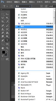 PHOTOSHOP 那些很唯美的字体怎么弄 