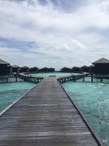 马尔代夫旅游W岛马尔代夫最值得去的岛是哪个求推荐（马尔代夫哪个岛好玩）