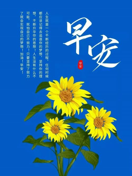 早安心语 夏日吉祥