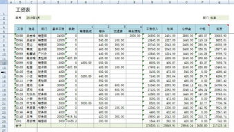 工资项目设置中那些是固定的，哪些是变动的。