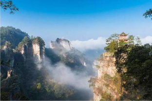 请帮助！八月份贵州梵净山下气温热不热想避暑长住一月(贵州梵净山六月份温度)