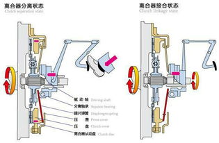 离合器踏板的自由行程过大过小对离合器的性能有什么影响？