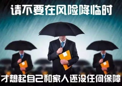 与诚信同行征文