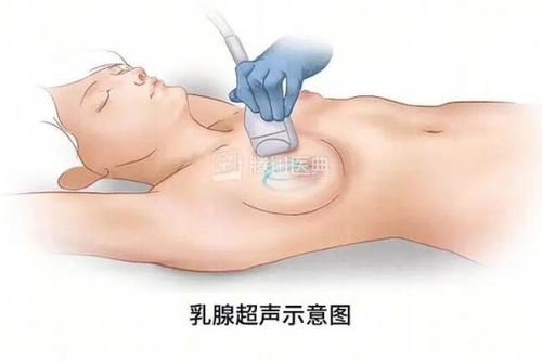 乳腺B超检查最佳时间,错过可能会影响结果