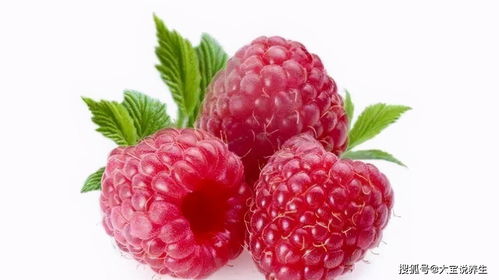 女性害怕老太快,要多吃3种食物,排毒养颜,有益健康 减肥 身体状况 树莓 