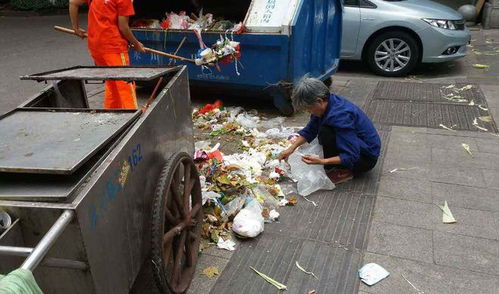 我跟老公百万身价,婆婆却每天捡垃圾为生,听到收废品的话气吐血