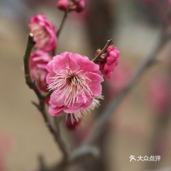 电话,地址,价格,营业时间 徐州周边游 