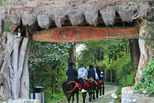 3种玩法 大理古城6公里外的茶马古道,隐匿着古村落和2个寺院