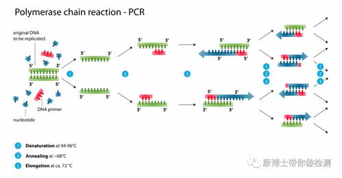 PCR技术入行启示录