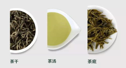 中国茶叶大省都有哪些名茶