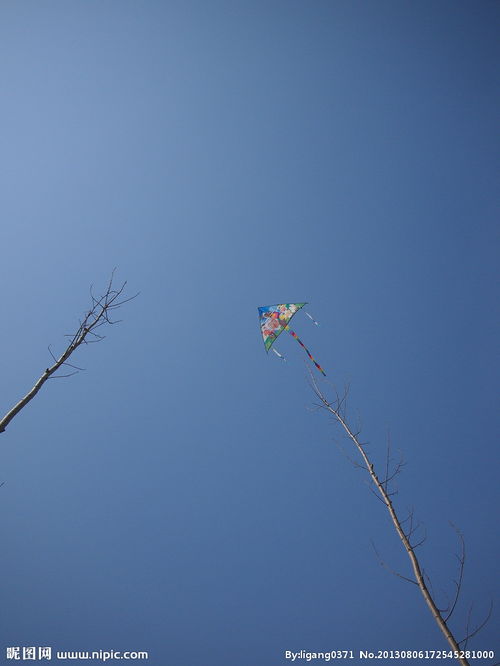 挂在树上的风筝图片 