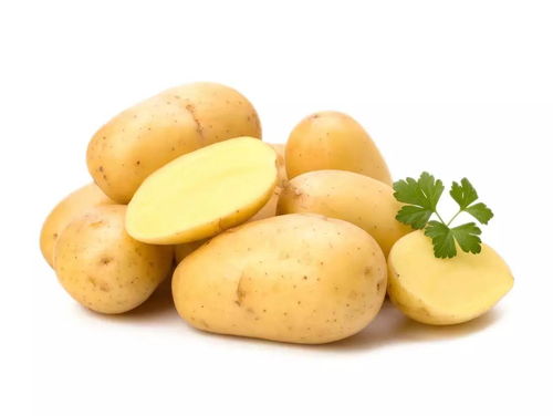 马铃薯是不是土豆