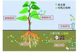 别和我讲科学,我们来谈谈风水 