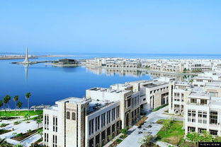 组图 沙特100亿打造世界最土豪大学 
