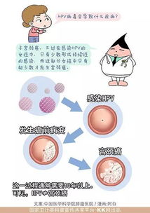 带hpv病毒需要长期吃药吗有哪些注意事项