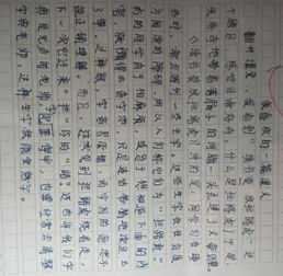 名言的启示500字