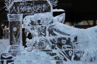 雪花的故事，一场奇妙的冰雪奇缘，雪花的故事绘本