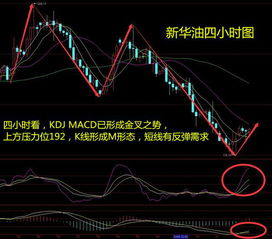 求助选股公式:RSI月均线都在50上方运行且快线上穿慢线至80左右回调至慢线压而不破的选股公式?