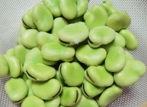 蚕豆发芽了还能吃吗蚕豆容易致过敏食用蚕豆的(新鲜蚕豆发芽了还能不能吃)