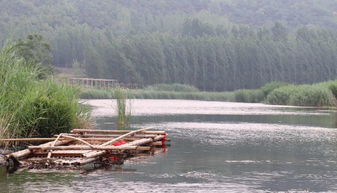 顺河而建的石头村 莒县赵家石河村