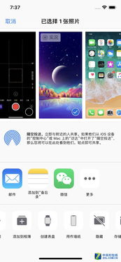 iPhone如何快速设置动态壁纸