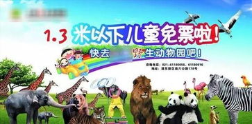 中国人审美差怪我咯 看看别人家的动物园海报设计就知道原因了