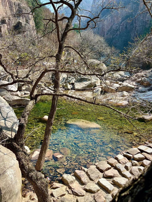 旅游方式分享 崂山北九水攻略 