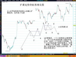 中枢扩展与扩张的区别